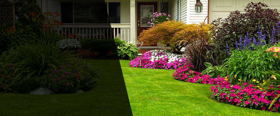 Buena Park Landscapers