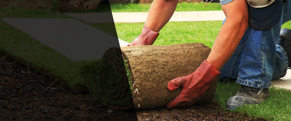 Buena Park Landscapers